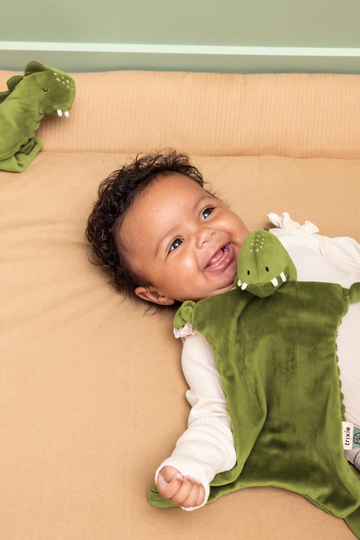 Baby Comforter - Mr. Dino