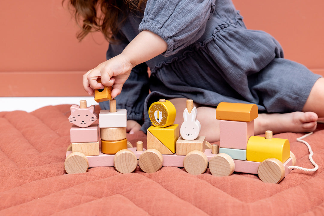 Wooden animal train - Mrs. Cat