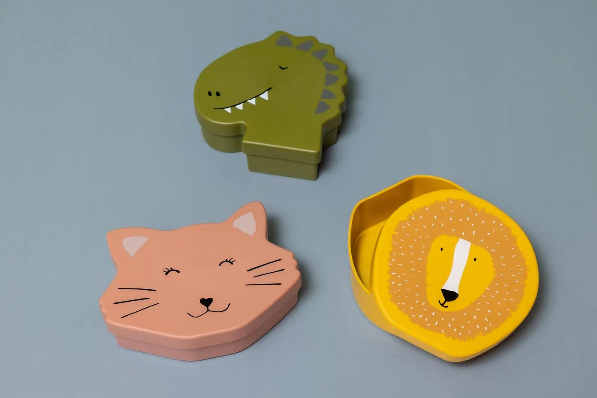 Shaped Lunch Box- Mrs Cat