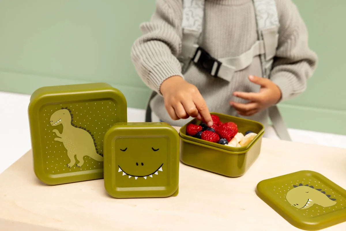 Snack Box Nesting-3 Pcs Mr Dino