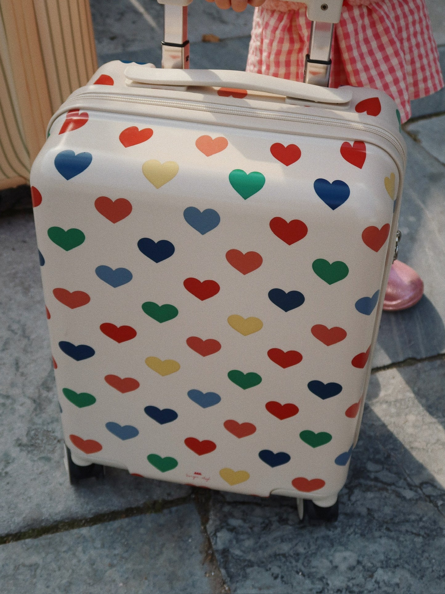 Travel Suitcase- Bon Coeur Coloré