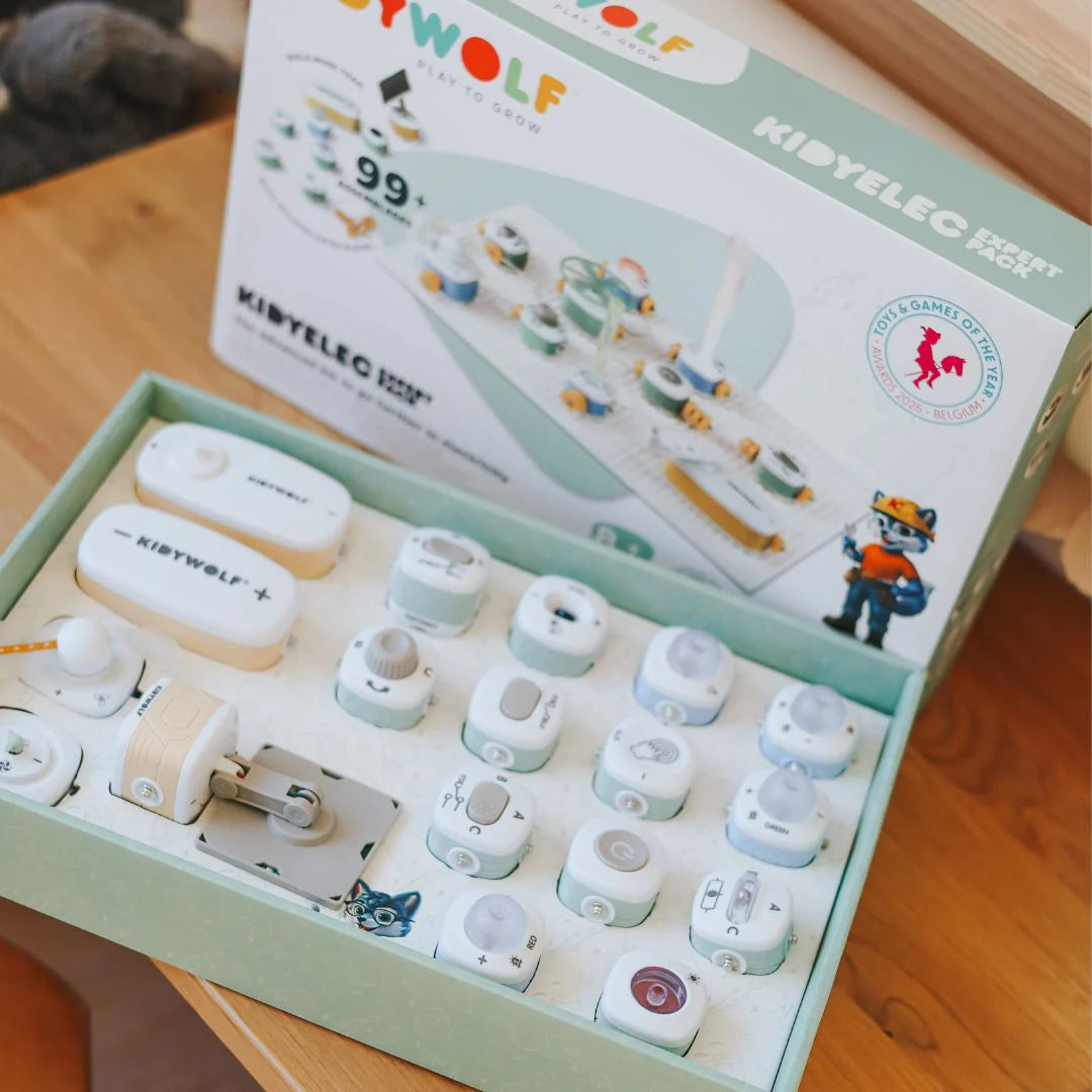 KIDYELEC EXPERT - My First Electrical Kit (17 pieces)