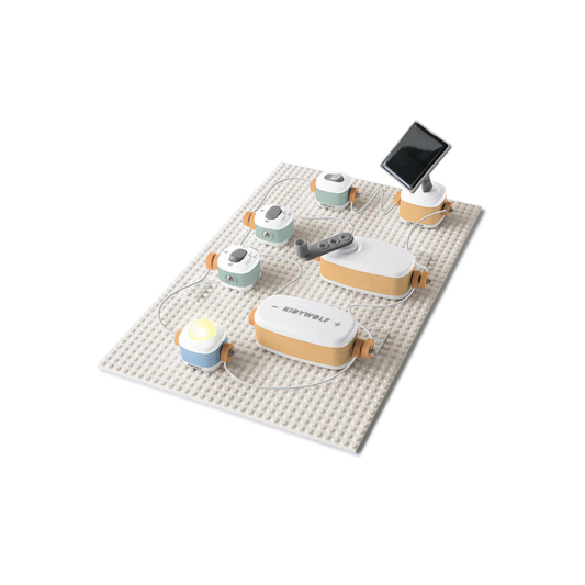 KIDYELEC EXPERT - My First Electrical Kit (17 pieces)