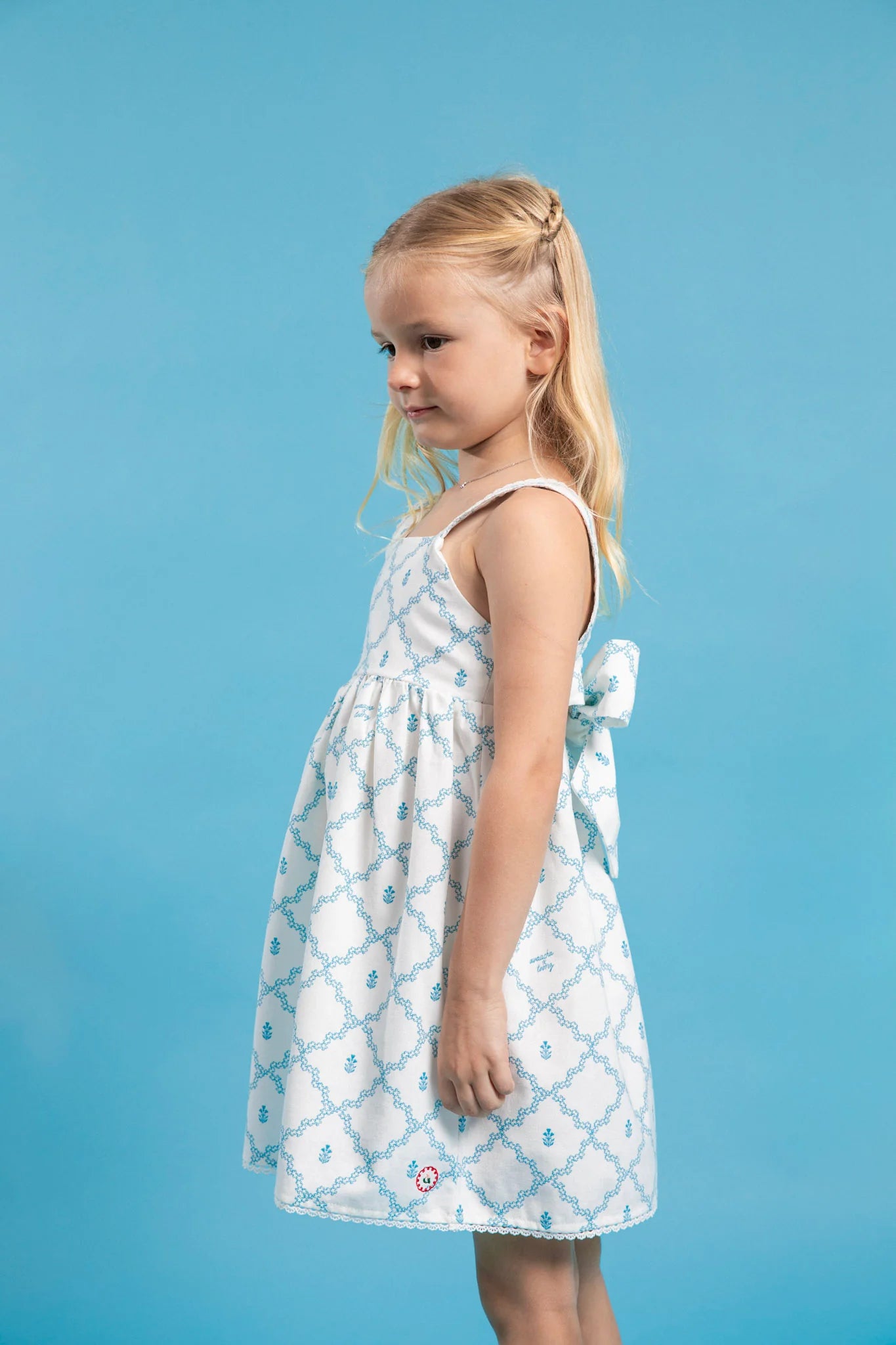 Ava Dress in Tooz Print
