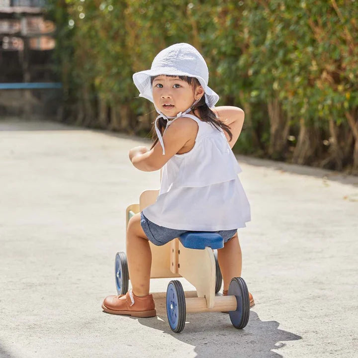 Delivery Bike- Orchad