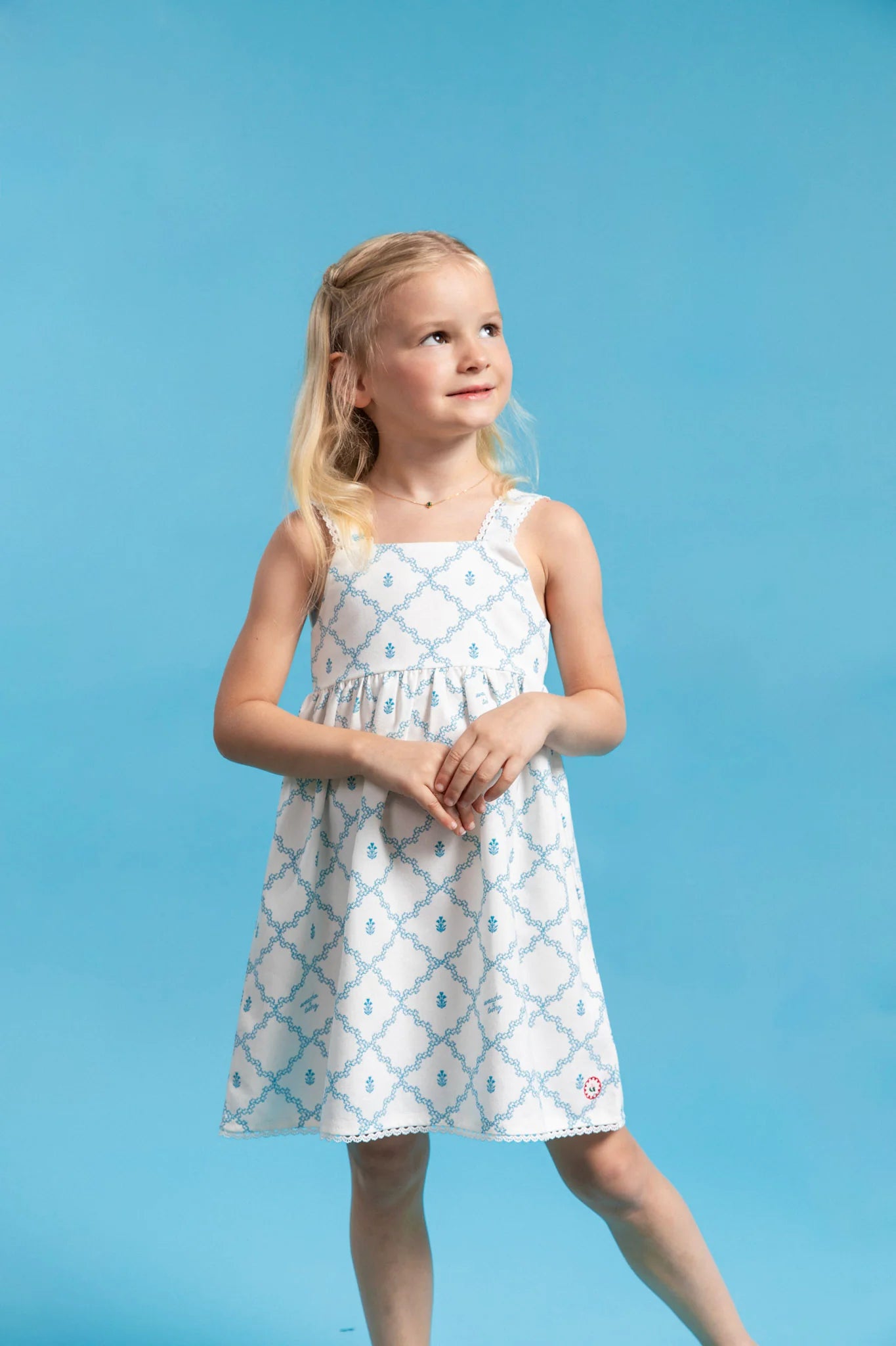 Ava Dress in Tooz Print