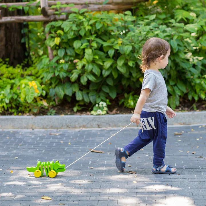 Child walking outdoors pulling the PlanToys Dancing Alligator