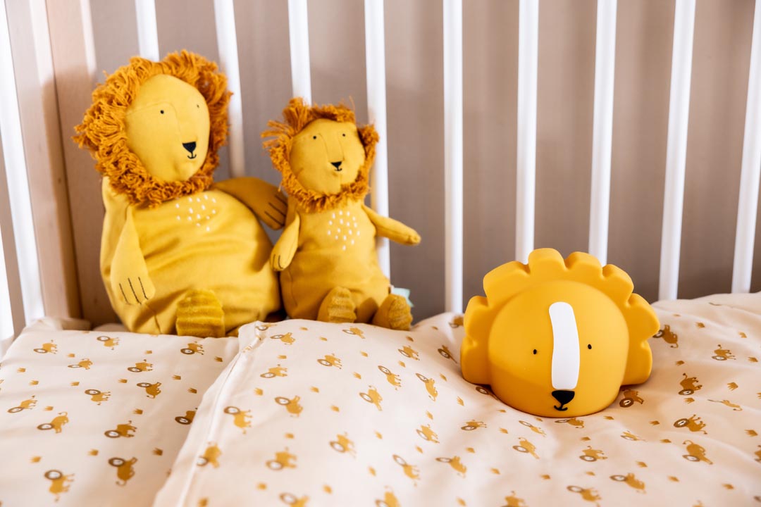 Night Light - Mr. Lion