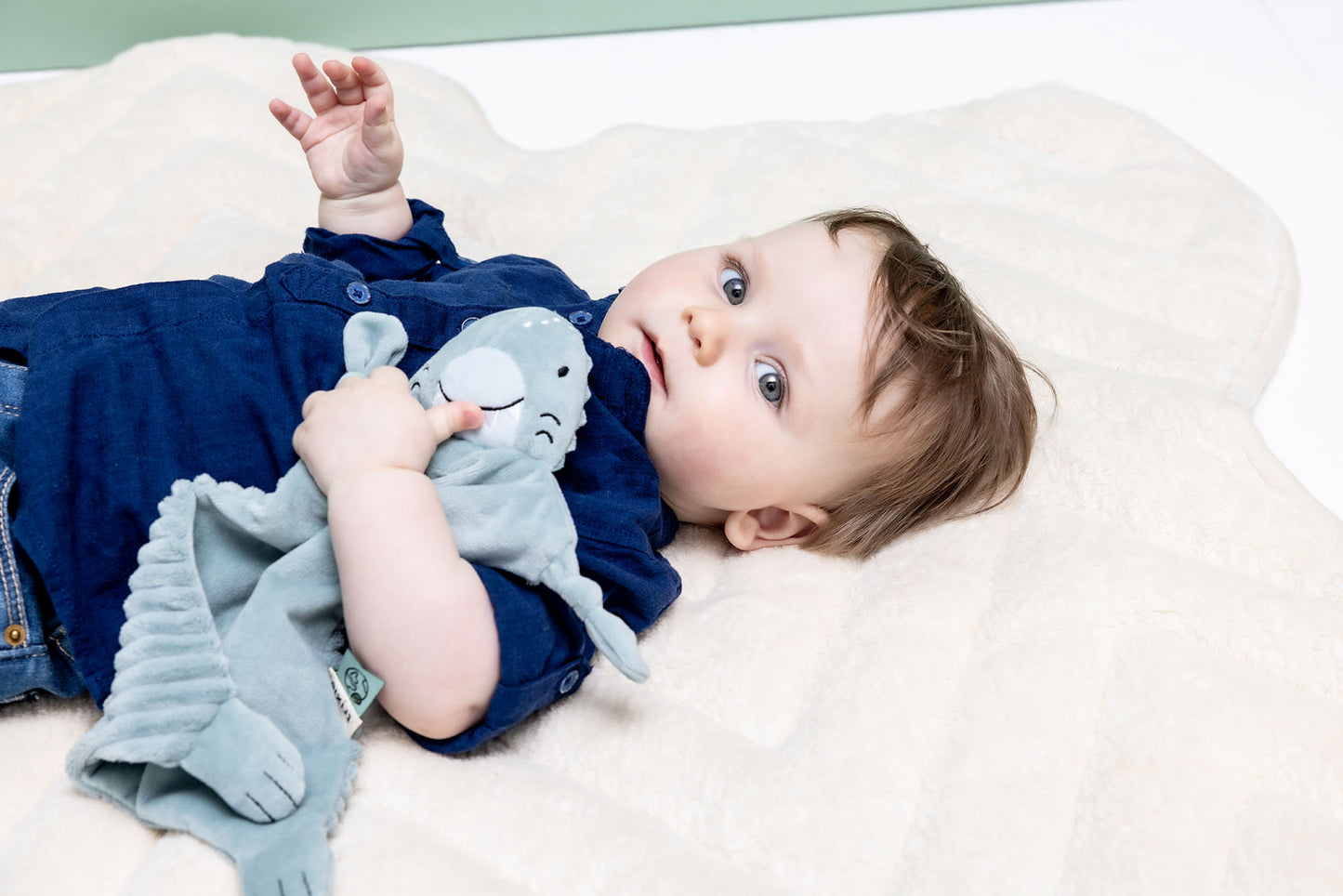 Baby comforter - Mr. Shark