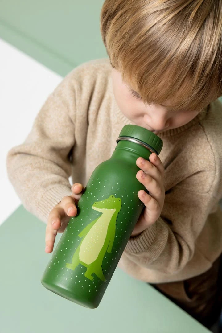 Mr Alligator- 500 ML Water Bottle