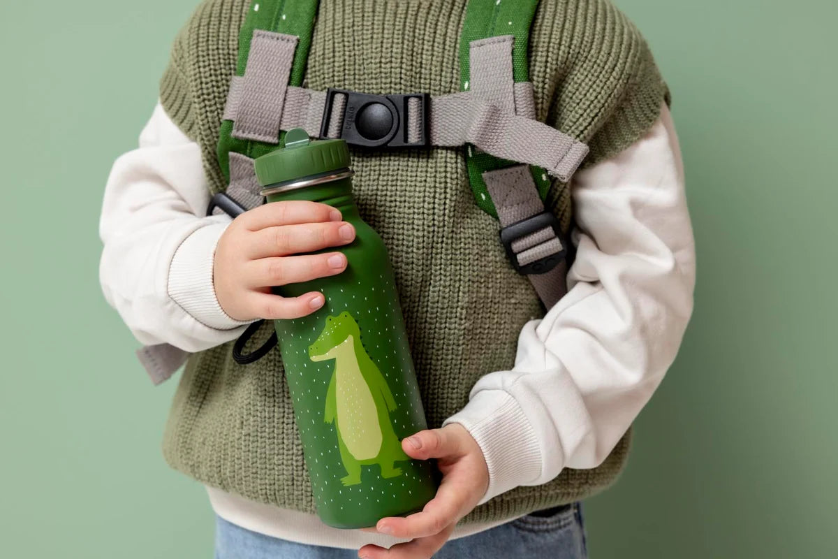 Mr Alligator- 500 ML Water Bottle