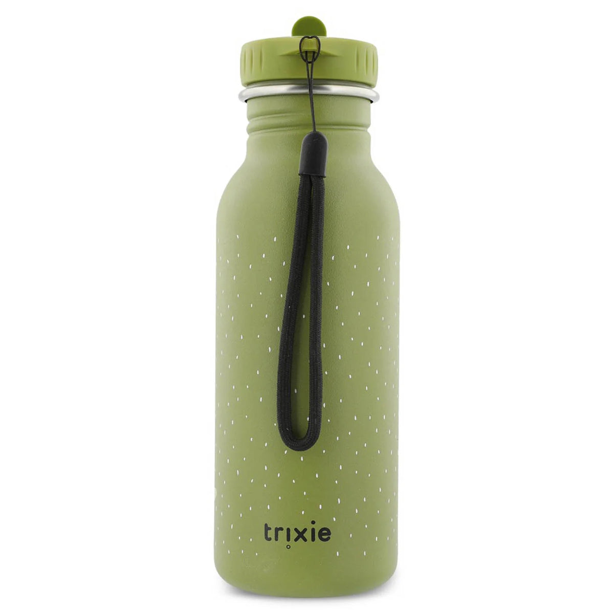 Mr Dino- 500 ML Water Bottle