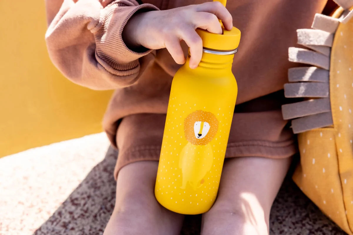 Mr Lion- 500 ML Water Bottle