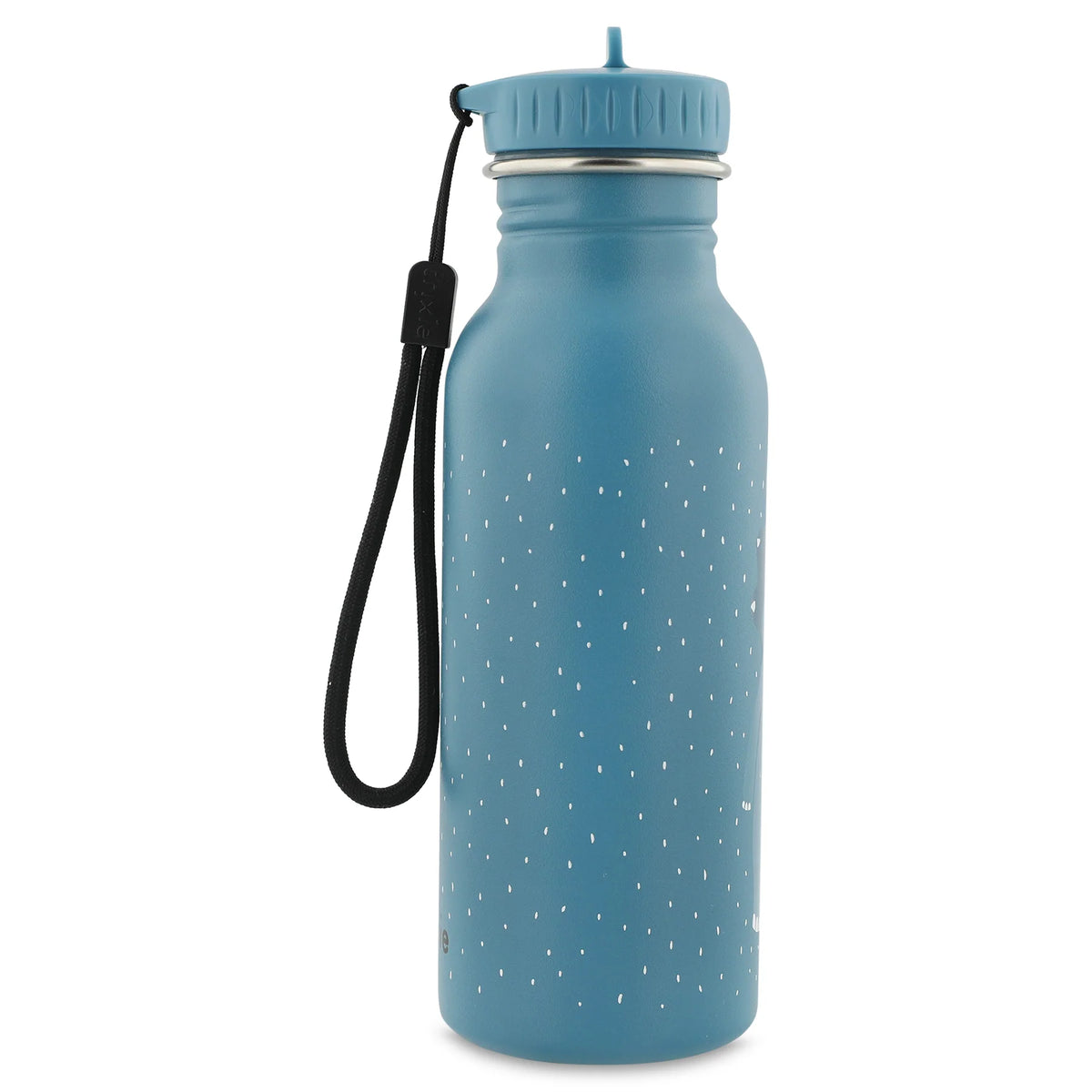 Mr Triceratops- 500 ML Water Bottle