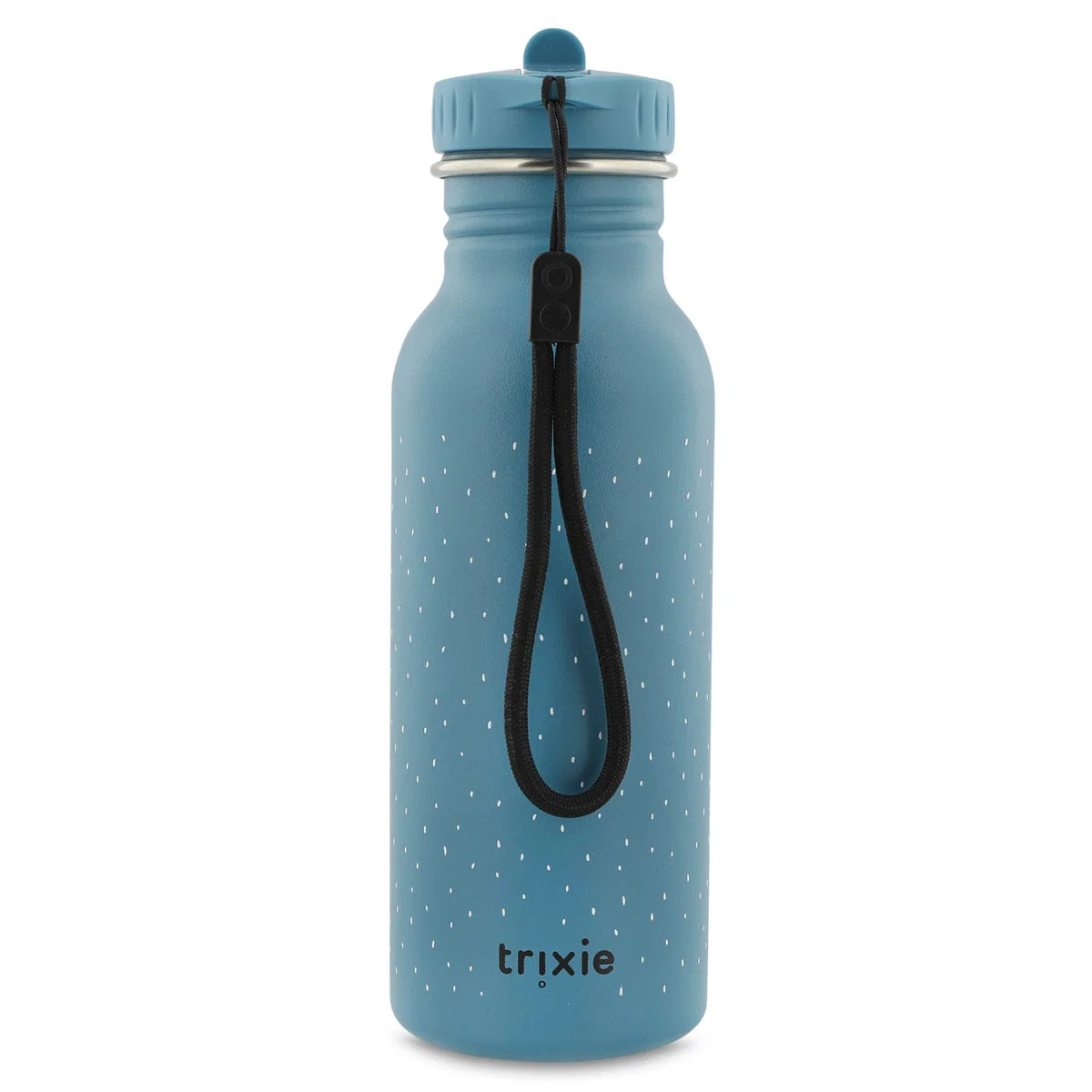 Mr Triceratops- 500 ML Water Bottle