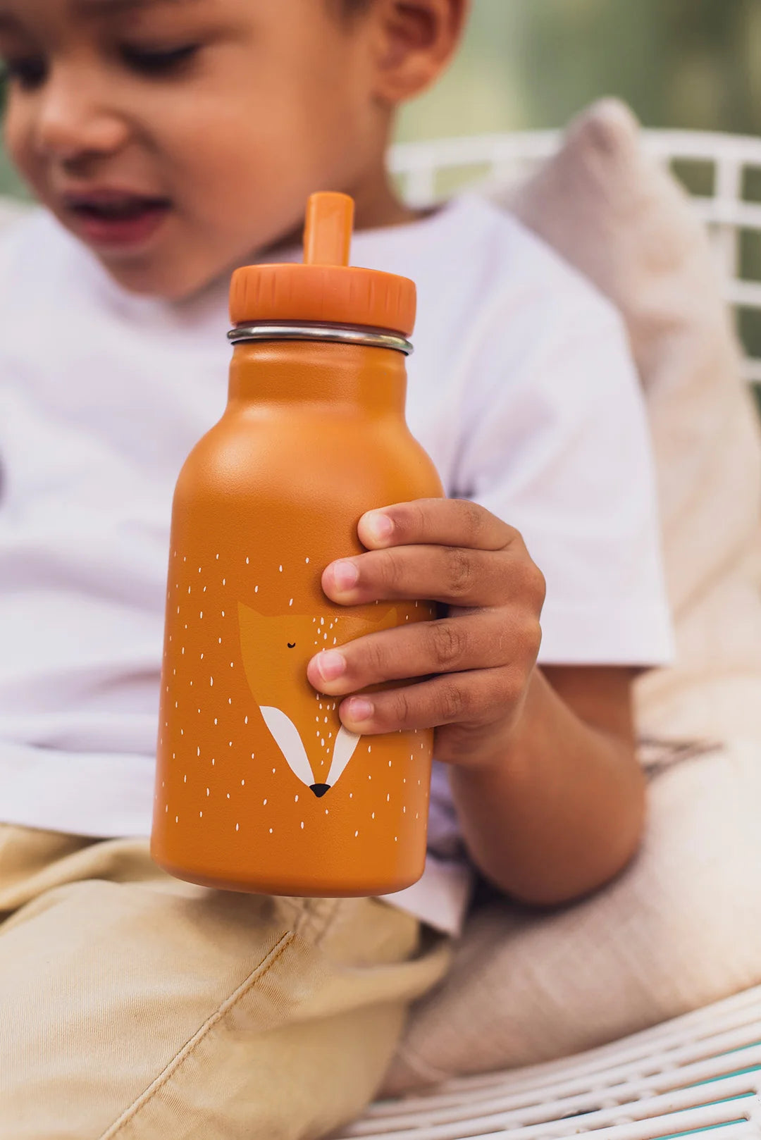 Mr Fox- 350 ML Insulated Water Bottle