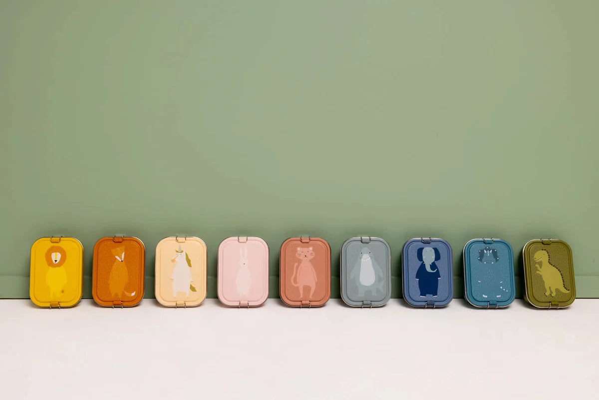Large Lunch Box- Mr Dino