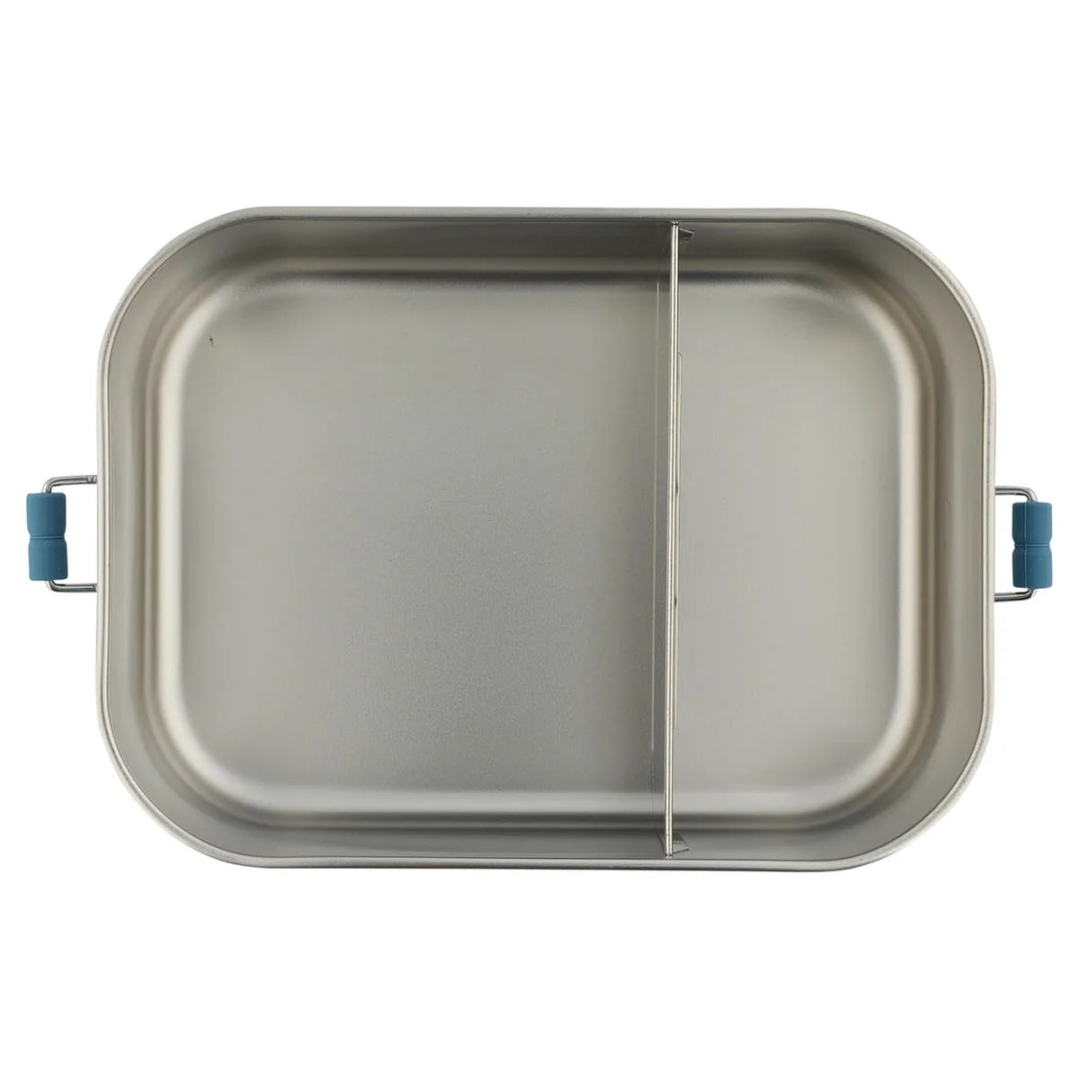 Large Lunch Box- Mr Triceratops
