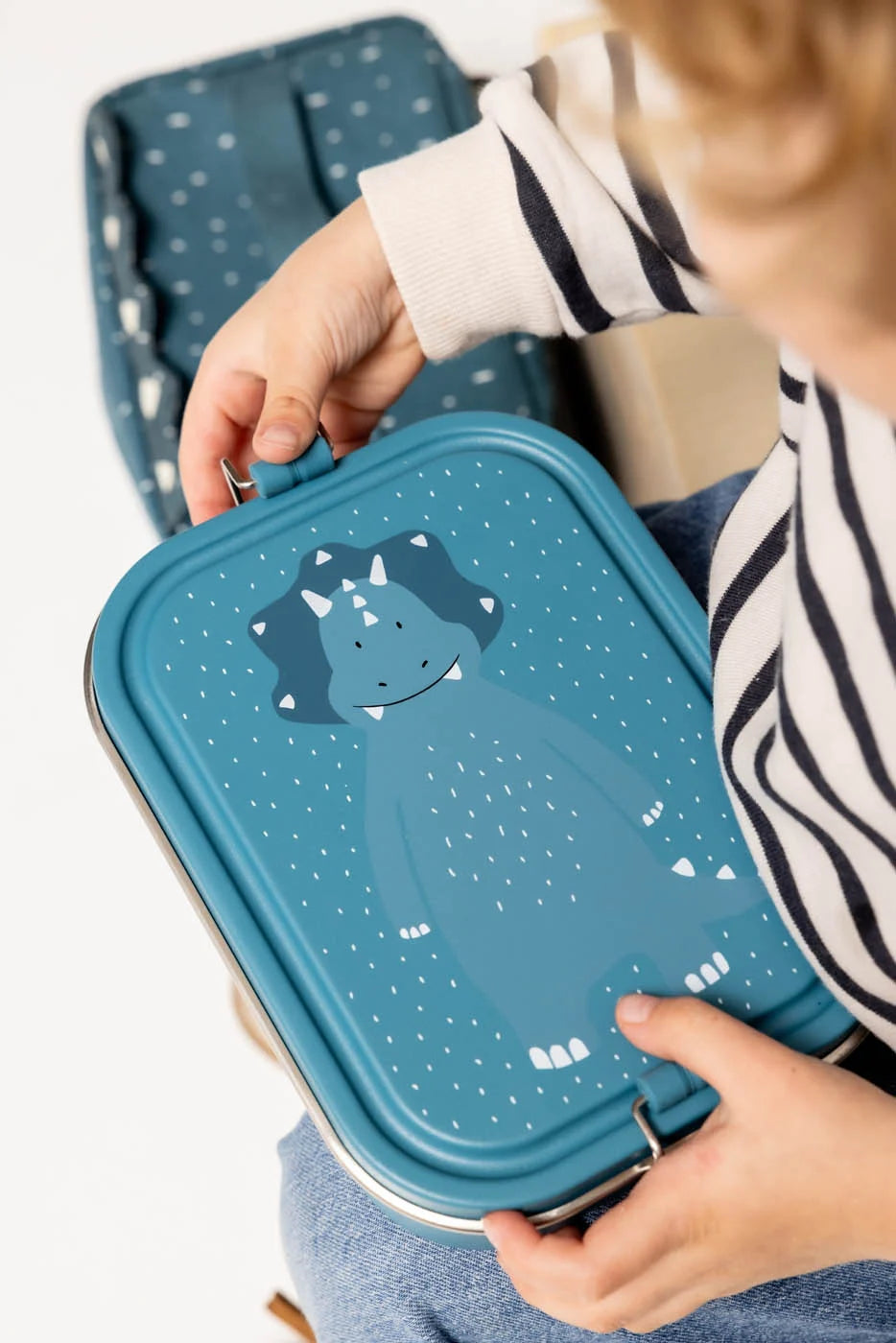 Large Lunch Box- Mr Triceratops