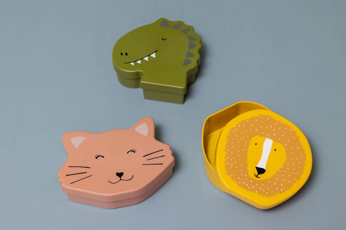 Shaped Lunch Box- Mr Dino