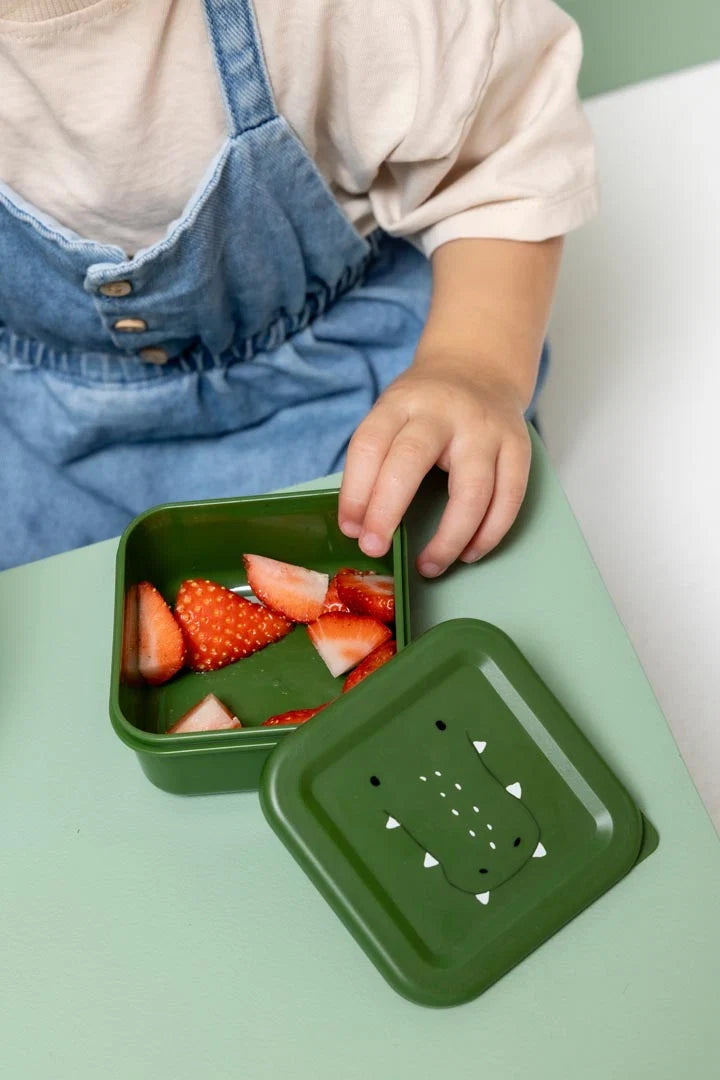 Snack Box Nesting-3 Pcs Mr Alligator