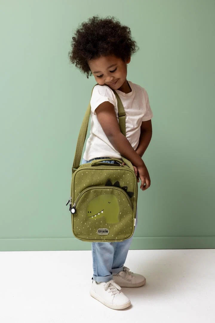 Insulated Lunch Bag- Mr Dino