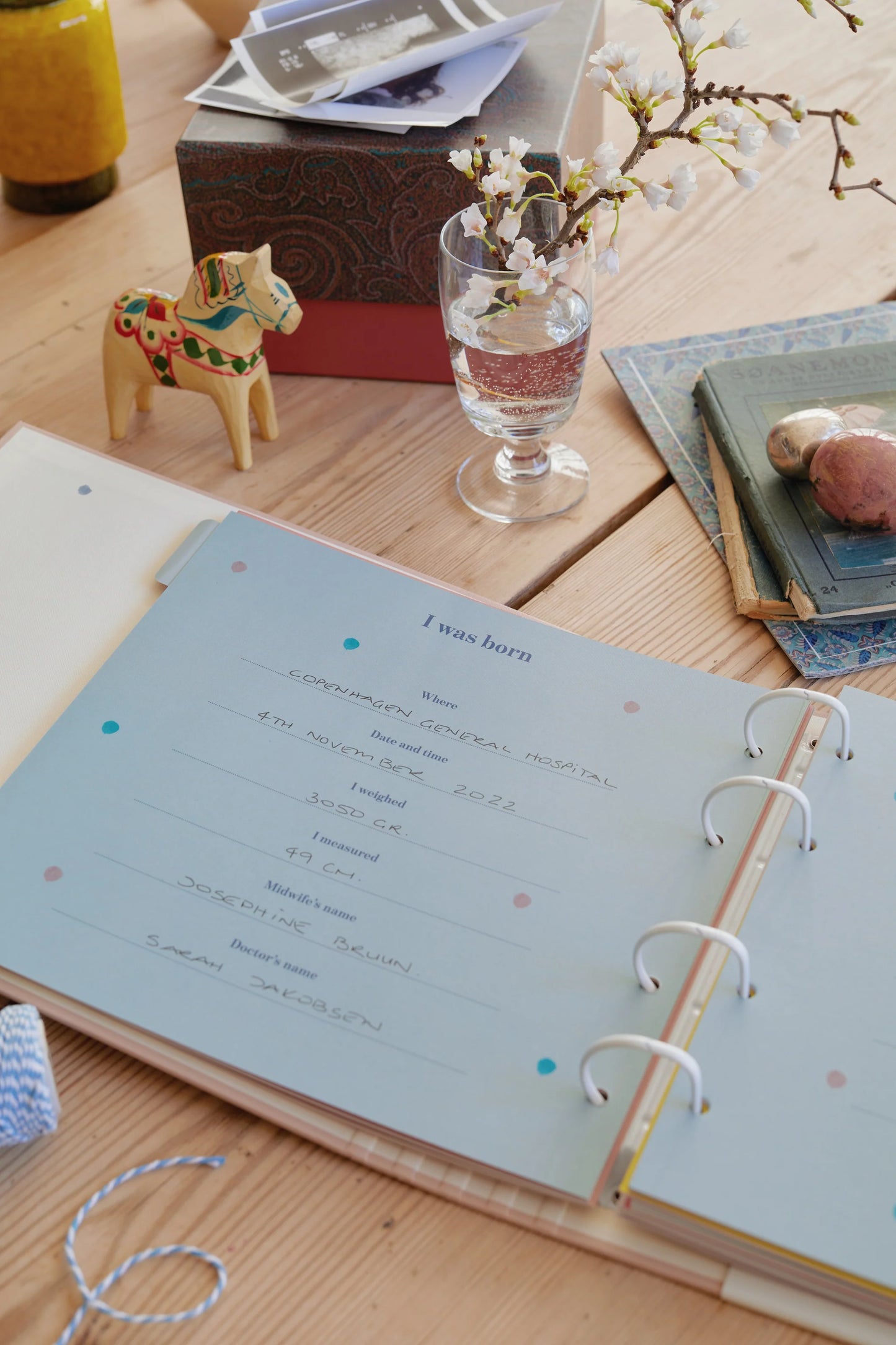 My First Baby Journal- New Born