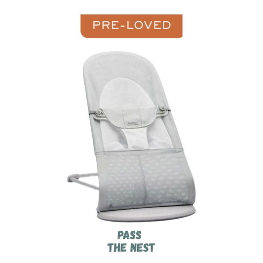 Baby Bjorn Baby Bouncer