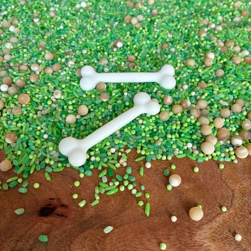 Pour & Play- Dino Dig