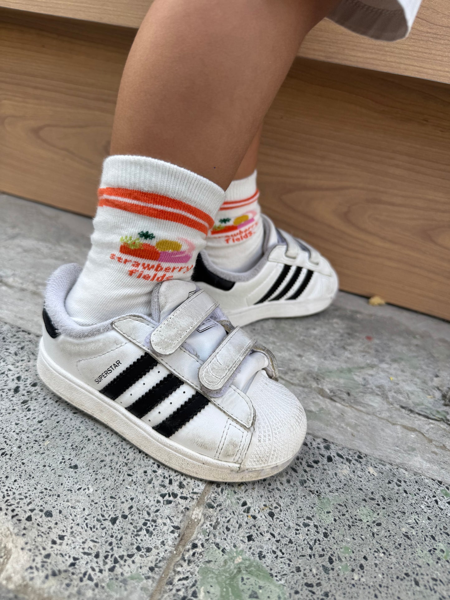 Orange Groove Socks- SFx Sikasok