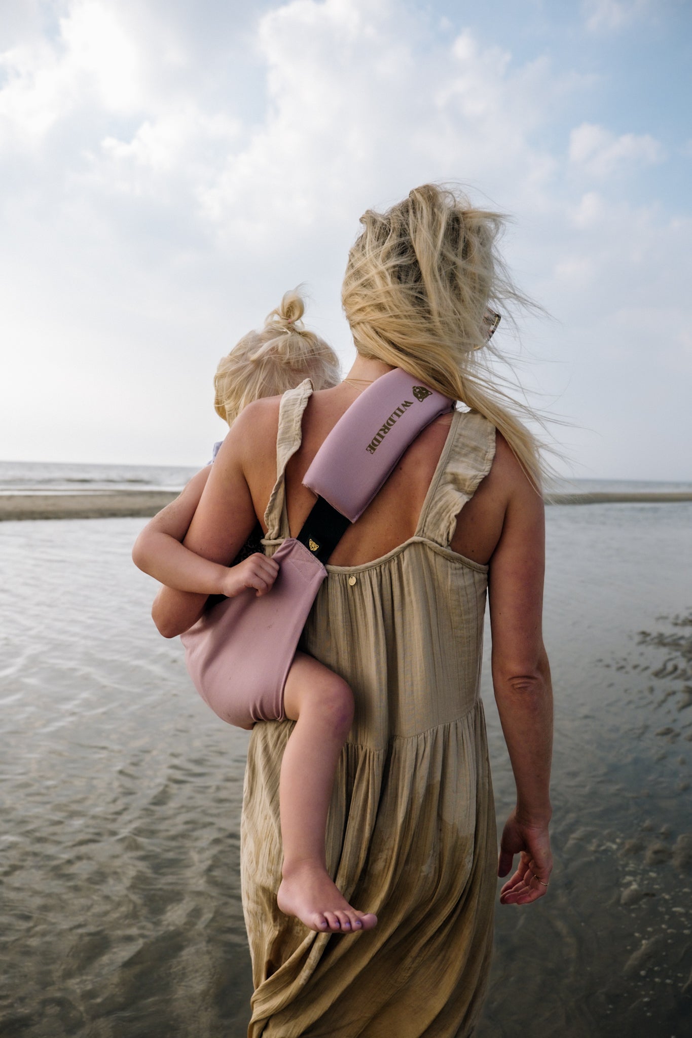 Wild Ride Carrier- Vintage Rose