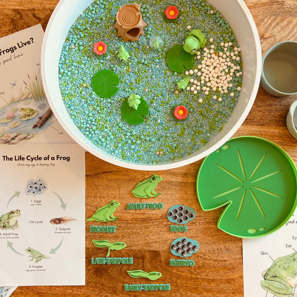 Pour & Play- Frog Lifecycle