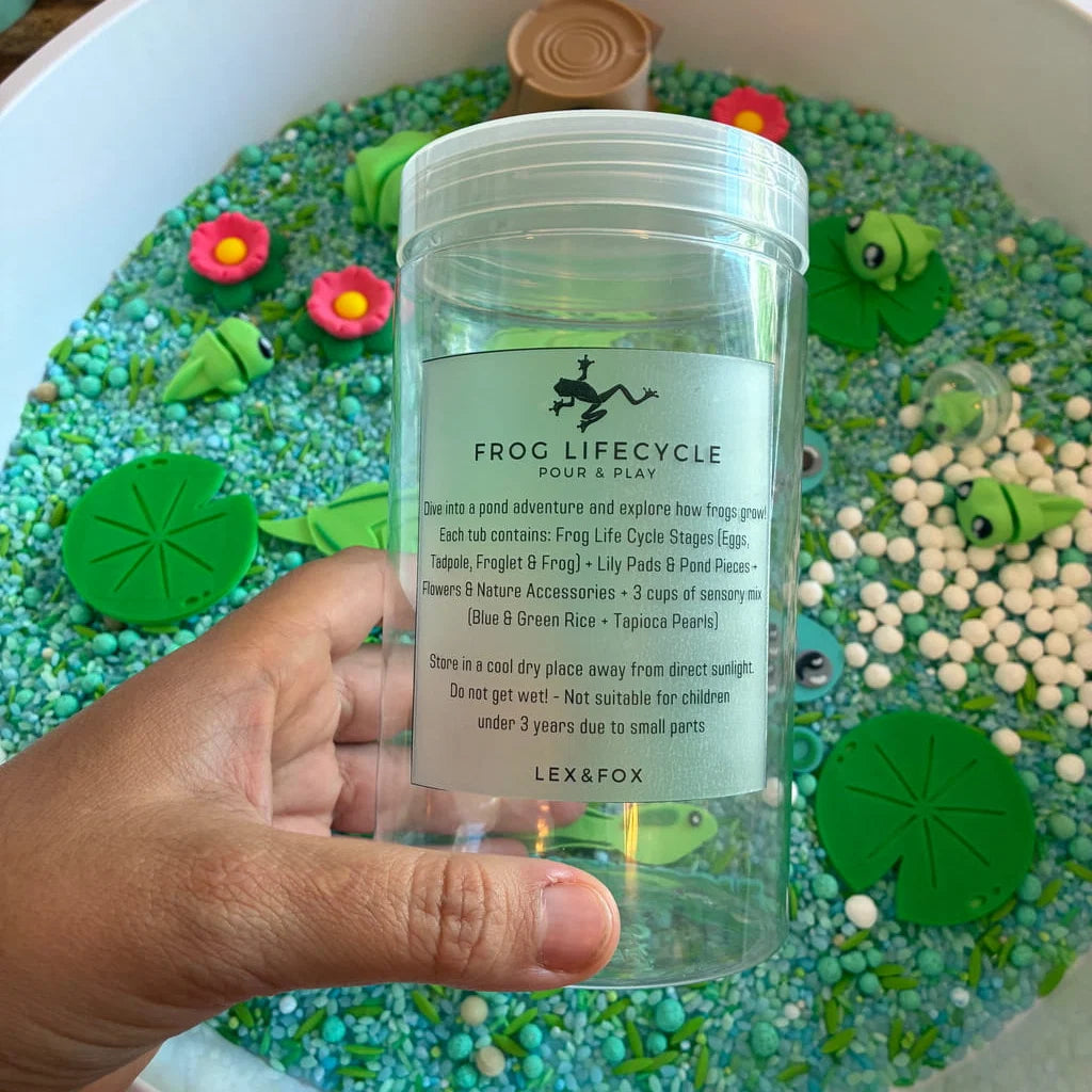 Pour & Play- Frog Lifecycle