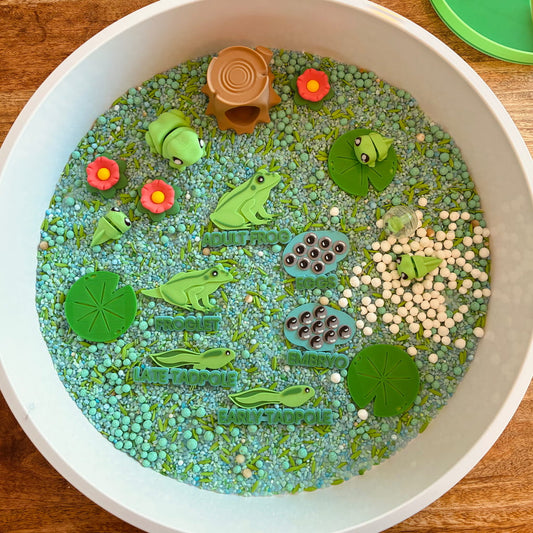 Pour & Play- Frog Lifecycle