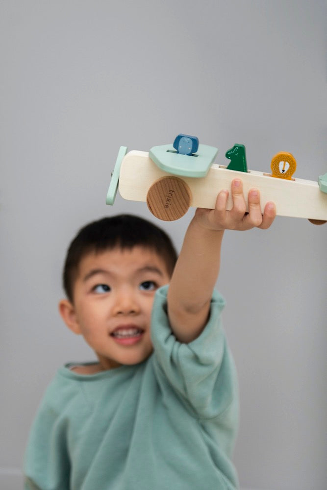 Wooden Animal Airplane