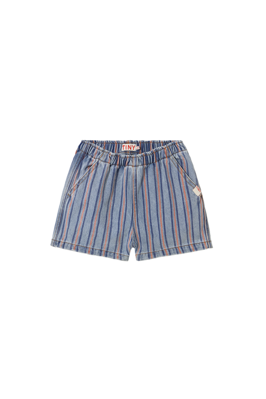 Stripes Multicolor Shorts