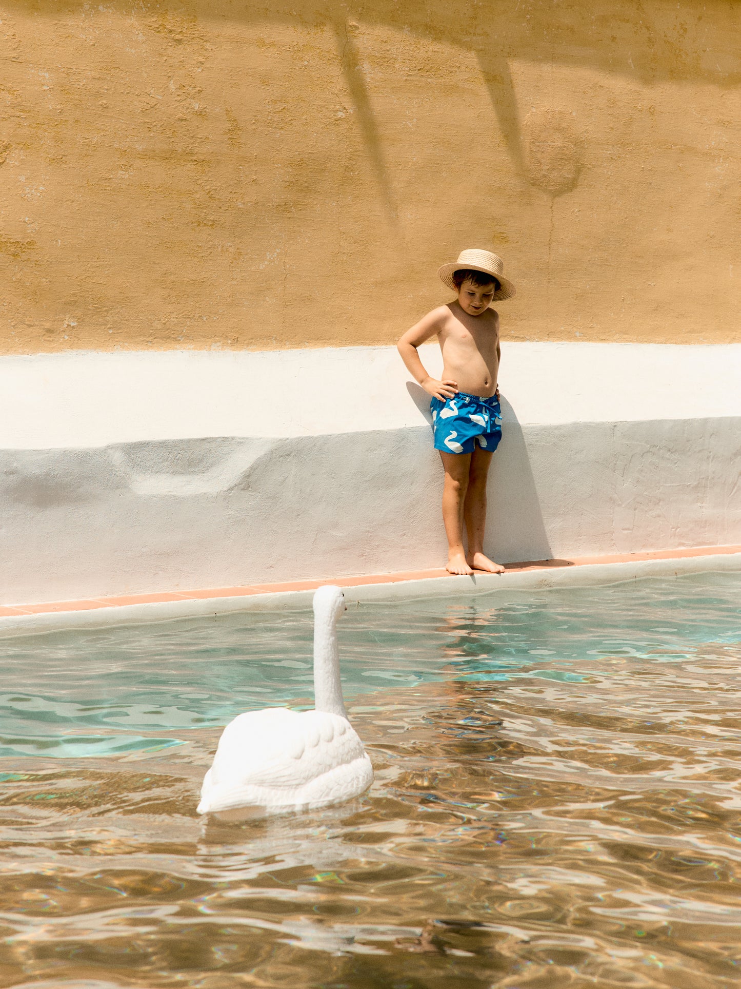Big Swans Trunk Blue