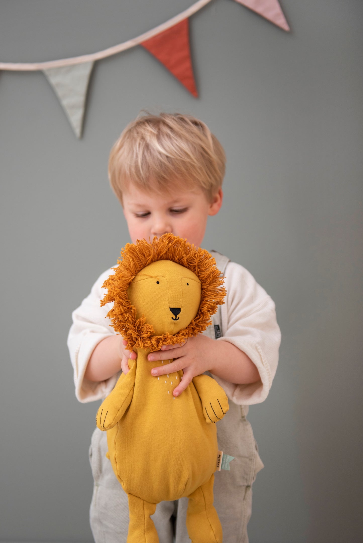 Plush Toy Large - Mr. Lion