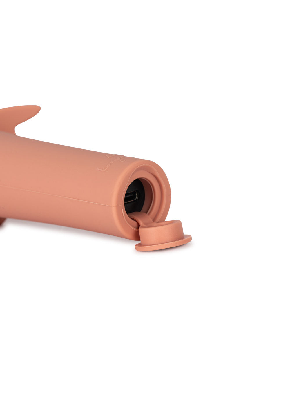 Dragon Flash Light- Raspberry