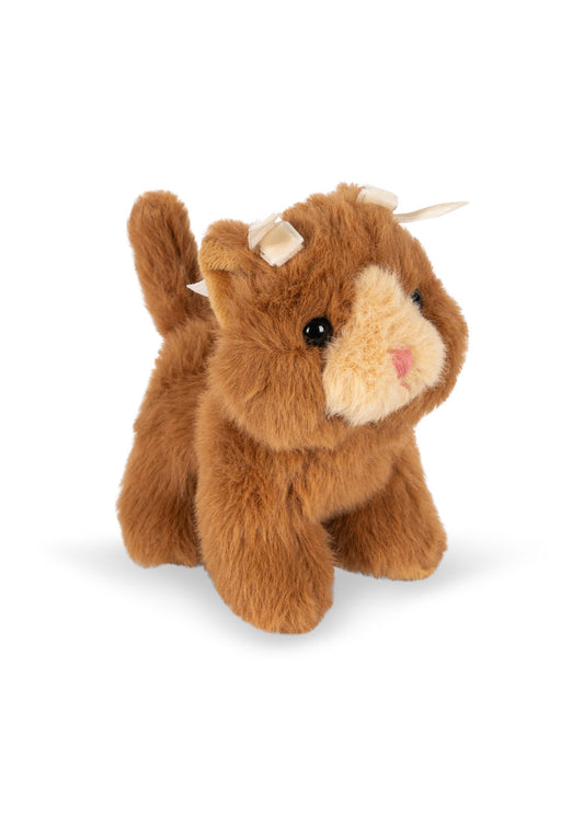 Baby Animals- Brown Kitten