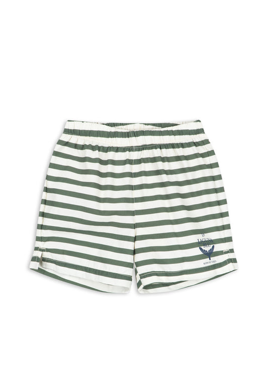 Asnou Swim Shorts- Verti Stripe- Boys Swimwear