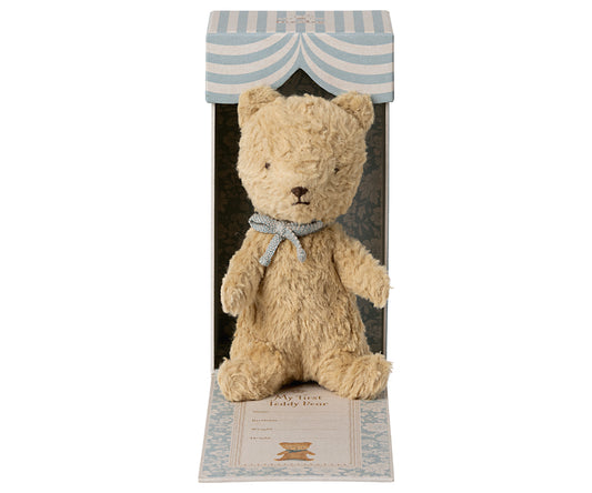 My First Teddy in Sand