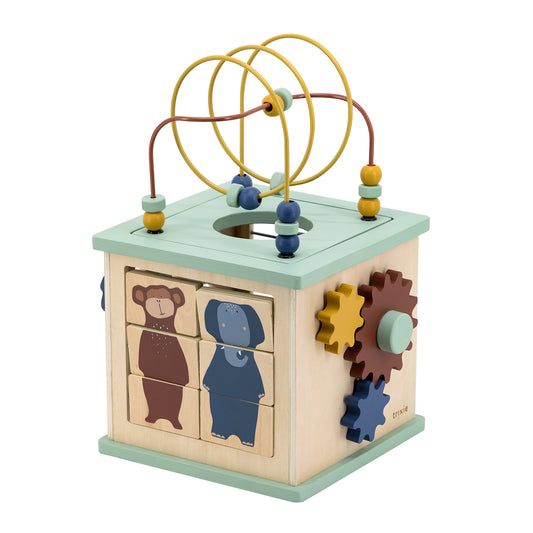 Wooden 5 in 1 Activity Cube